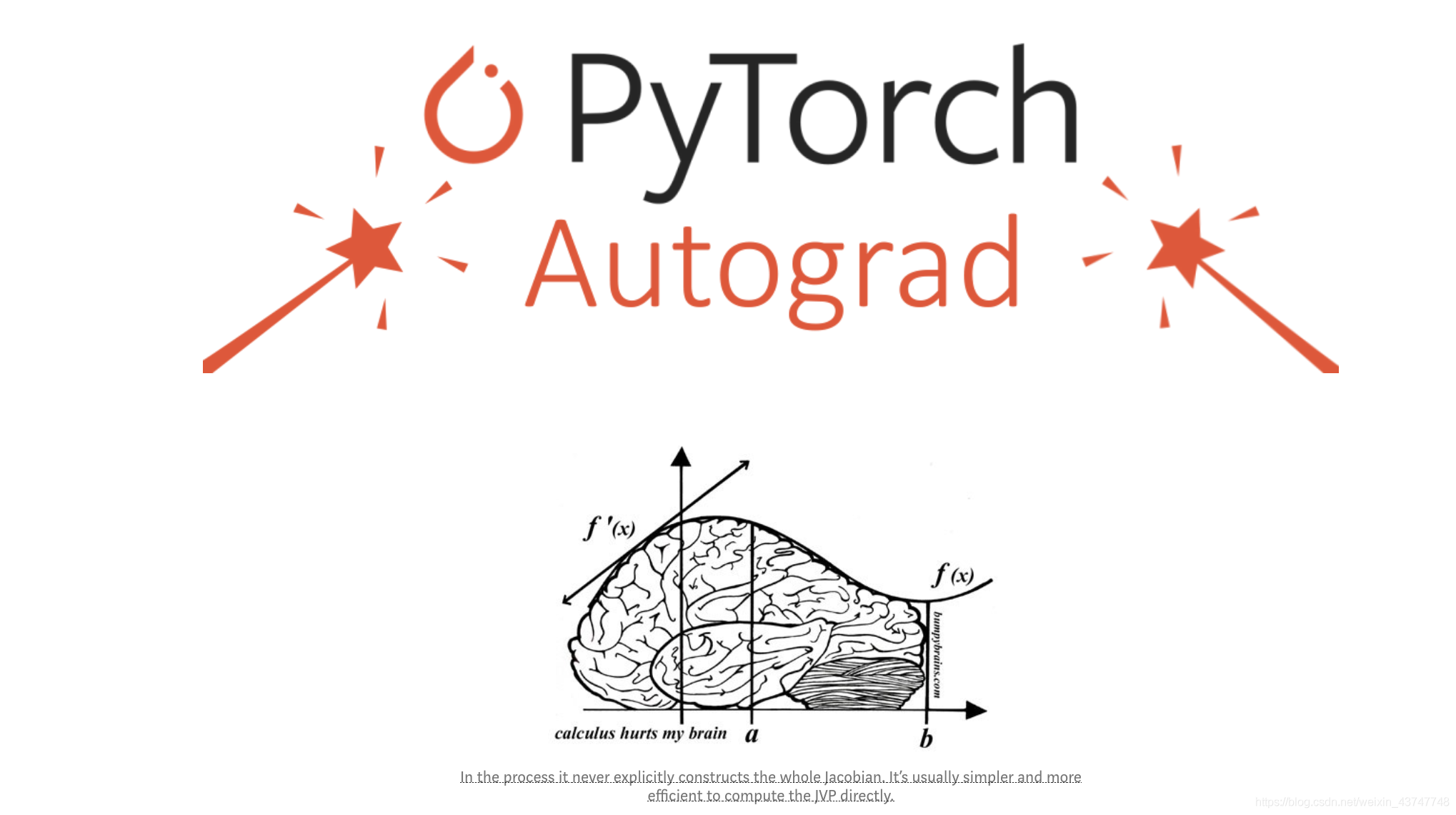 Pytorch中的Autograd